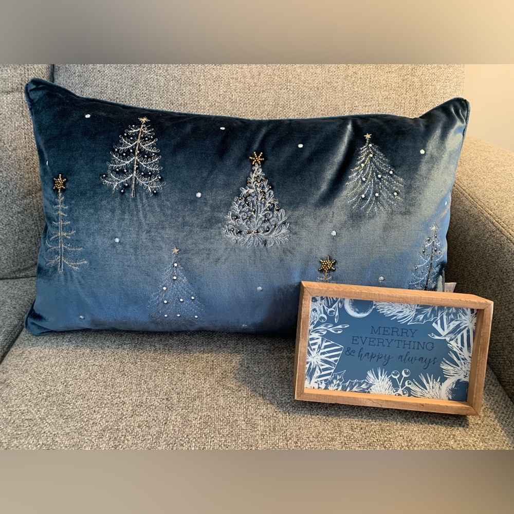 Gorgeous blue accent pillow